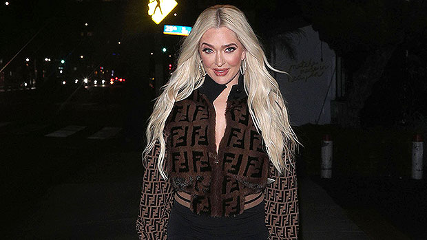 Erika Jayne begins selling bags on her Instagram account amid financial  woes following divorce