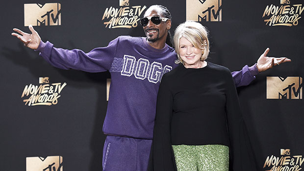 Superbowl 2020: Tositos Commercial Ad with Snoop Dogg & Martha