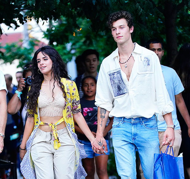 Shawn Mendes & Camila Cabello 