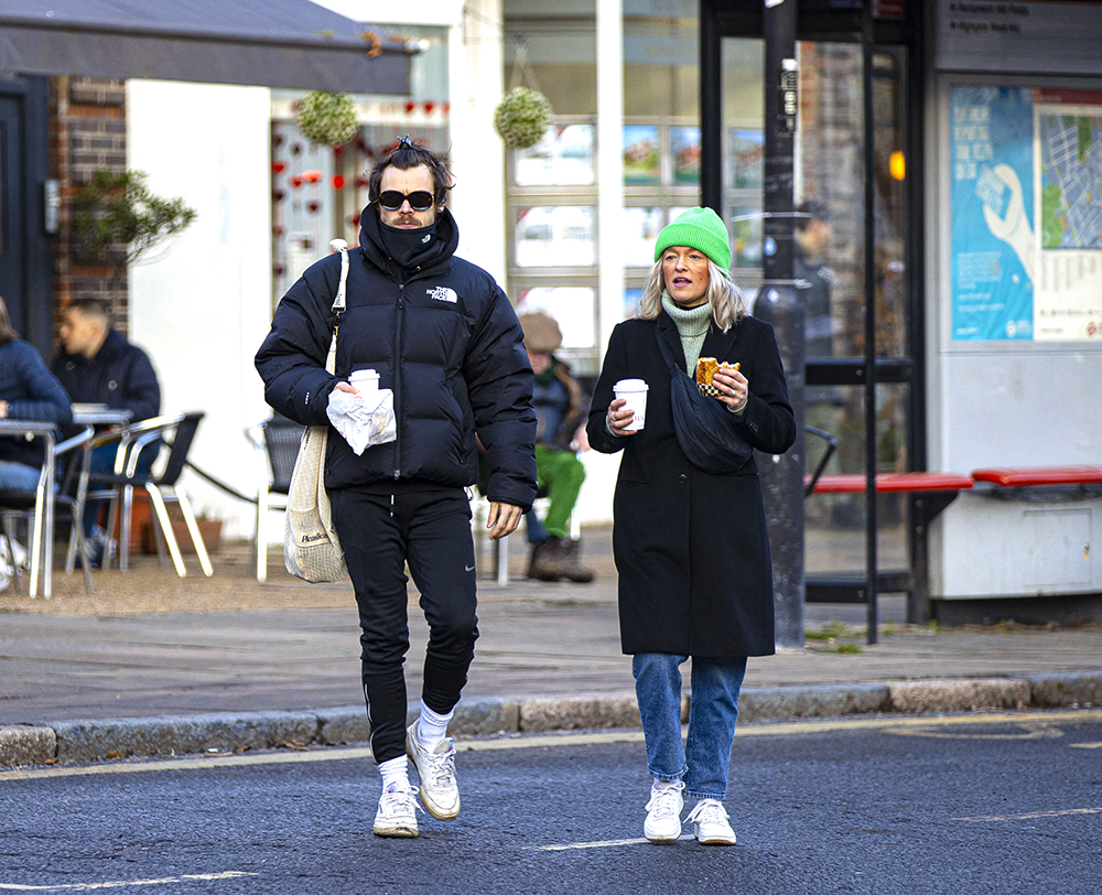 EXCLUSIVE: Harry Styles seen out with rumoured  'old flame' Ellis Calcuty