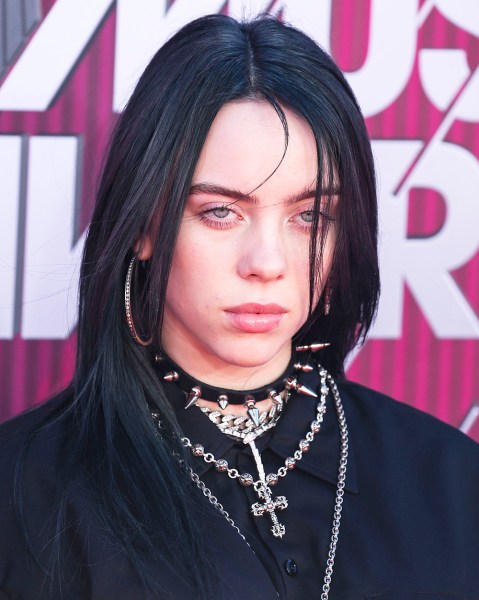 Billie Eilish’s Boldest Hair Colors & Styles: See Photos – Hollywood Life