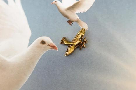 dove pin