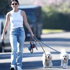 Lucy Hale walks her two dogs in the L.A. sunshine showing off her fit arms wearing a white tank top and tight jeans