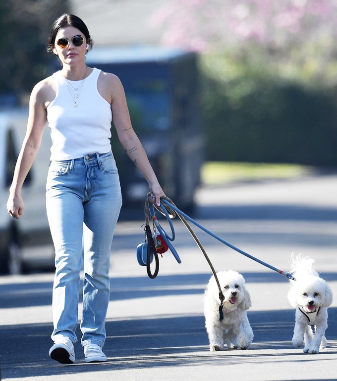 Lucy Hale Walks Her Dogs