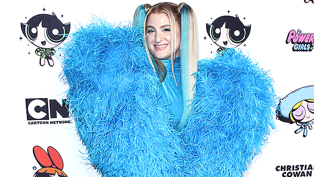 Pregnant Meghan Trainor Channels 'Bluey' in an Adorable TikTok