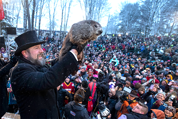 How To Watch Groundhog Day 2021: Where To Find Live Stream & More