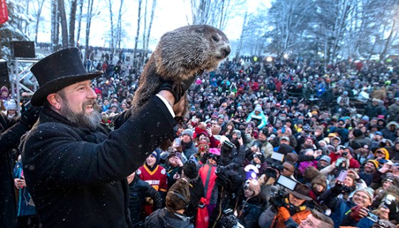 punxsutawney phil