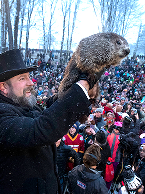 punxsutawney phil