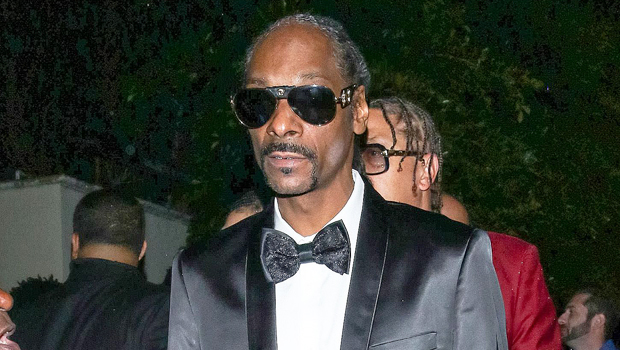 Snoop Dogg Is Giving Up Smoke - Wrestlezone
