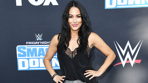 Brie Bella Shares Empowering Pic Of Her Body 9 Months Post-Baby