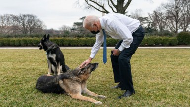 Joe Biden and his dogs