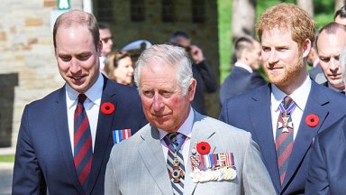 Prince Williams, Prince Charles & Prince Harry