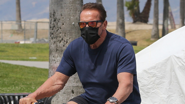 Arnold Schwarzenegger, 73, Looks Buff In Fitted T-Shirt While Out For A Solo Bike Ride In Venice Beach