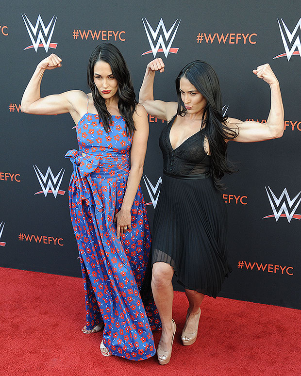 Nikki Brie Bella S Wwe Plans Sisters Reveal Potential Return Hollywood Life