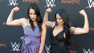 Brie Bella, Nikki Bella