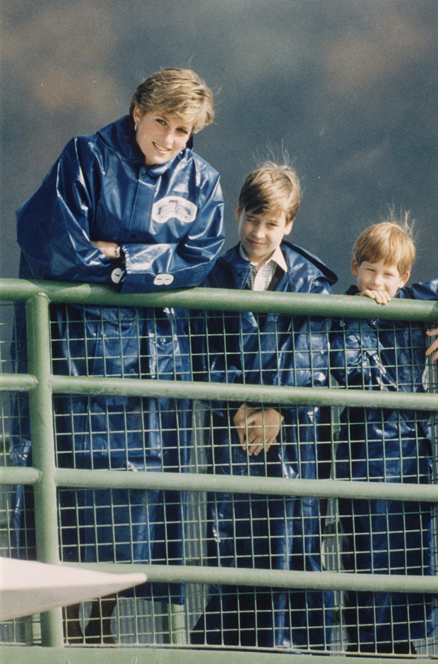 Princess Diana, Prince William, Prince Harry