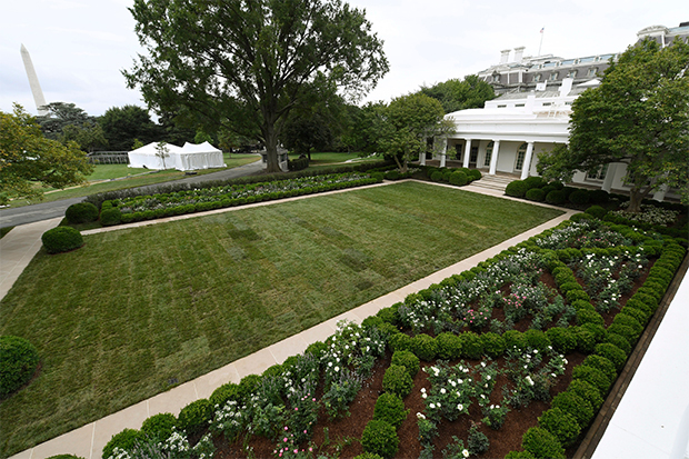 White House Rose Garden