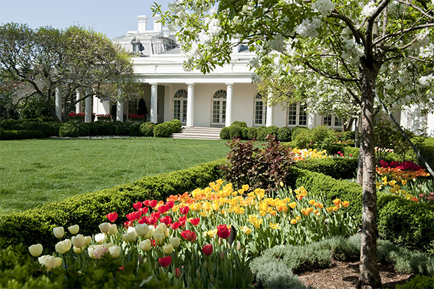 White House Rose Garden