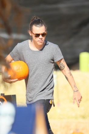 Harry Styles and a female seen picking out pumpkins at Mr. Bones Pumpkin patch.Featuring: Harry StylesWhere: Los Angeles, California, United StatesWhen: 08 Oct 2014Credit: Michael Wright/WENN.com**Nhd4S37jTfWzH3Wk%%XGxw** Newscom/(Mega Agency TagID: wennphotosfour676801.jpg) [Photo via Mega Agency]