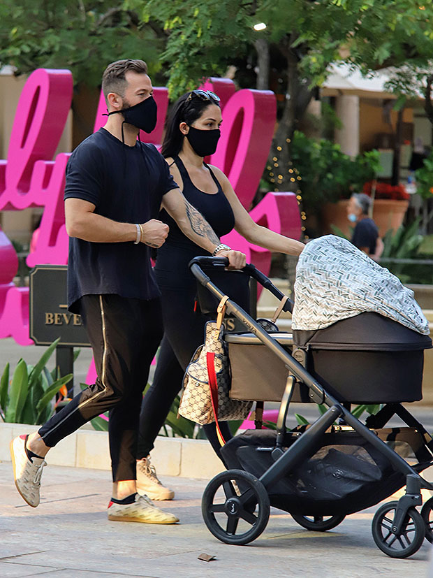 Who Is Nikki Bella's Fiancé, Artem Chigvinstev? - More About Nikki