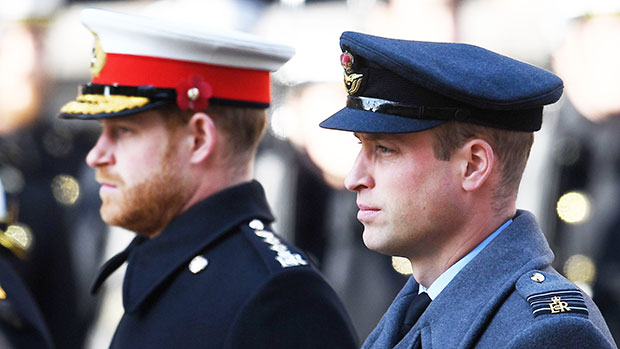 Prince Harry, Prince William