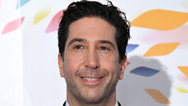 David Schwimmer