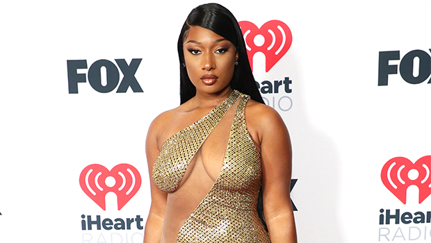 Megan Thee Stallion Wears Amazing Sheer Dress