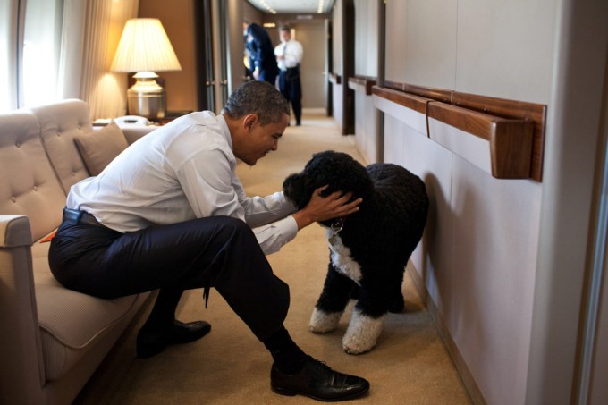 Barack Obama plays with Bo