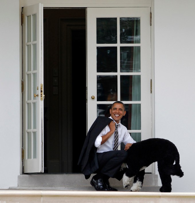 Barack Obama enjoys a moment with Bo