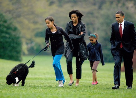 Malia Obama, first lady Michelle Obama, Sasha Obama and United States President Barack Obama with Bo
Bo the new White House dog, Washington, America - 14 Apr 2009
The First Family shows off their new dog, Bo, on the South Lawn of the White House. Bo, a Portuguese Water Dog was given to the family as a gift from Senator Ted Kennedy.