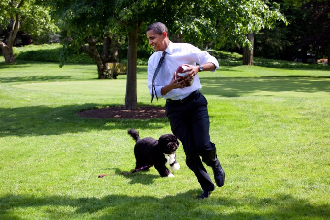 Barack Obama gets some exercise in with Bo