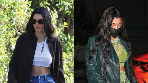 Kylie & Kendall Jenner Wear Crop Tops For Night Out & Dog Walking ...