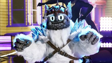 The Masked Singer