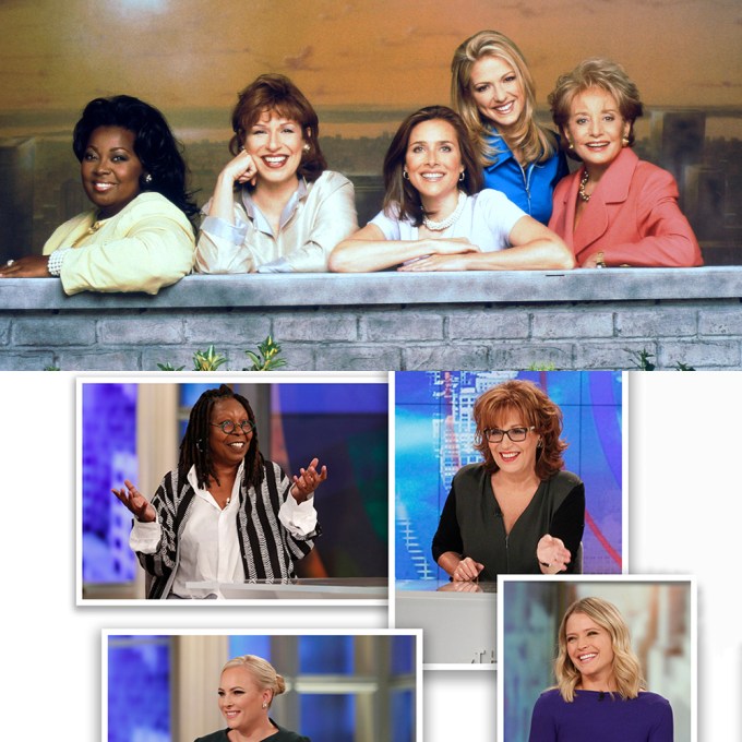 ‘The View’ Cast Through The Years