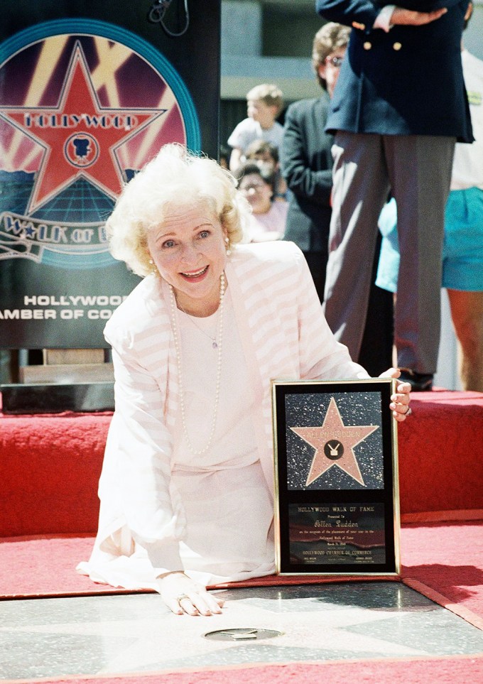 Hollywood Walk of Fame ( 1995)