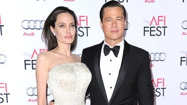 Angelina Jolie Brad Pitt Custody Battle