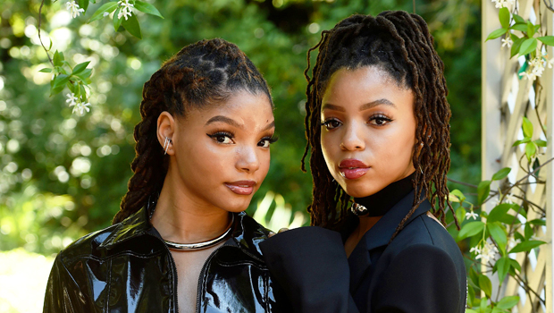 Halle Bailey Reacts To Fan Who Shades Sister Chloe Tweet Hollywood Life