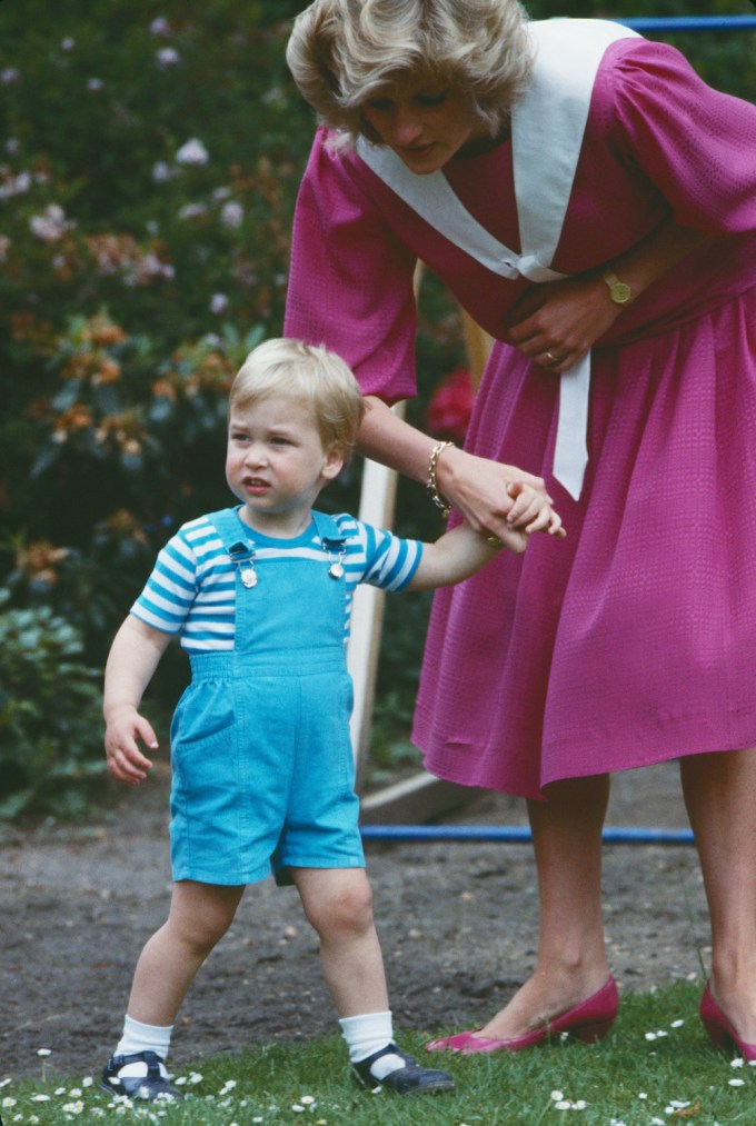 Prince William With Princess Diana