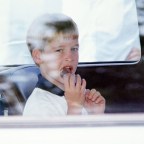 Prince Williams Younger Years