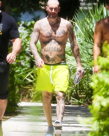 Miami, FL  - *EXCLUSIVE*  - Adam Levine, his personal live-in trainer Austin Pohlen, and his bodyguard walk to the gym in Miami. The Maroon 5 singer went shirtless to beat the Florida heat wearing a pair of neon shorts and showing off a bit of his Calvins!Pictured: Adam LevineBACKGRID USA 1 JULY 2021 BYLINE MUST READ: SBCH / BACKGRIDUSA: +1 310 798 9111 / usasales@backgrid.comUK: +44 208 344 2007 / uksales@backgrid.com*UK Clients - Pictures Containing ChildrenPlease Pixelate Face Prior To Publication*