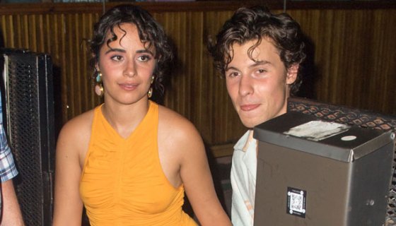 Camila Cabello, Shawn Mendes