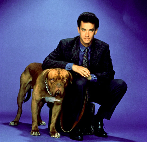 Josh Peck On ‘Turner & Hooch’: He Wants Tom Hanks On The Show ...