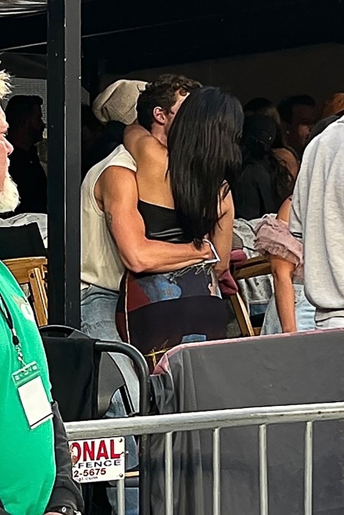 Shawn Mendes and Camila Cabello at Taylor Swift’s NJ Concert