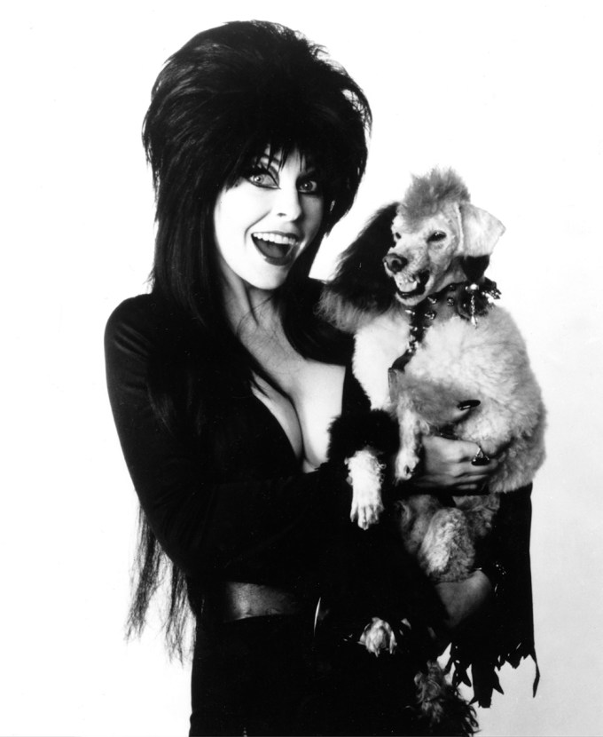 Cassandra Peterson Dressed As Elvira