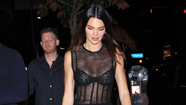 Kendall Jenner Wears Sheer Corset Top, Black Bra at Dinner