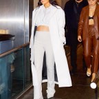 Kylie Jenner All White Crop Top Pregnant