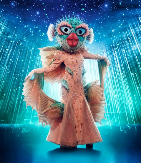 ‘the Masked Singer’ Season 6 Costumes See Photos Of The Wild Looks Hollywood Life