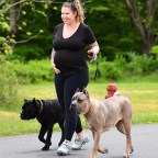 EXCLUSIVE: Teen Mom Kailyn Lowry Shows Off her Growing Baby Bump While Walking her Massive Dogs