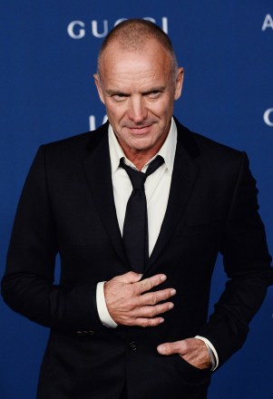 Müzisyen Sting, 2 Kasım 2013'te Los Angeles'taki LACMA Art + Film galasına geldi. Lacma Art + Film Galası, Los Angeles, California, Amerika Birleşik Devletleri - 03 Kasım 2013