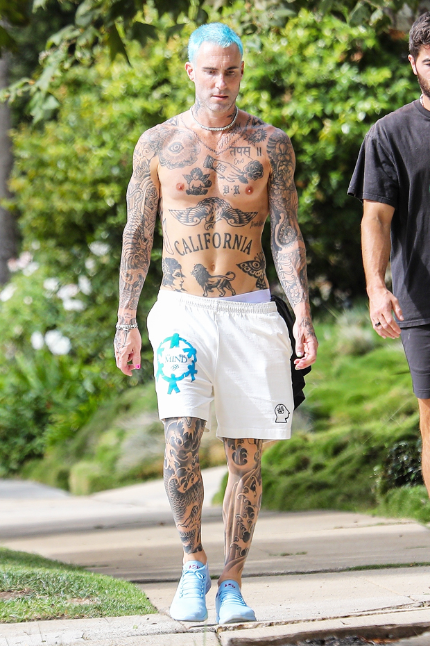 Adam Levine Goes Shirtless With Blue Hair Before After Photos Sexiz Pix